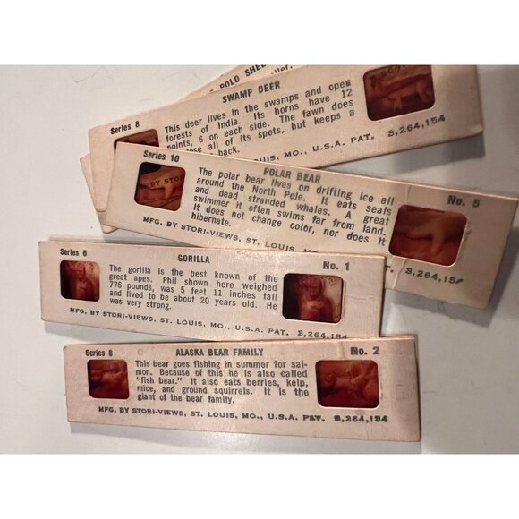 Vintage 1950s Stori-Views Red Plastic 3D Film Viewer with 5 Wildlife Film Strips - Picture 8 of 8